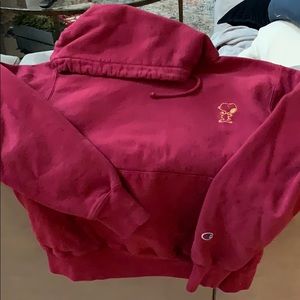 Champion sweatshirt hoodie